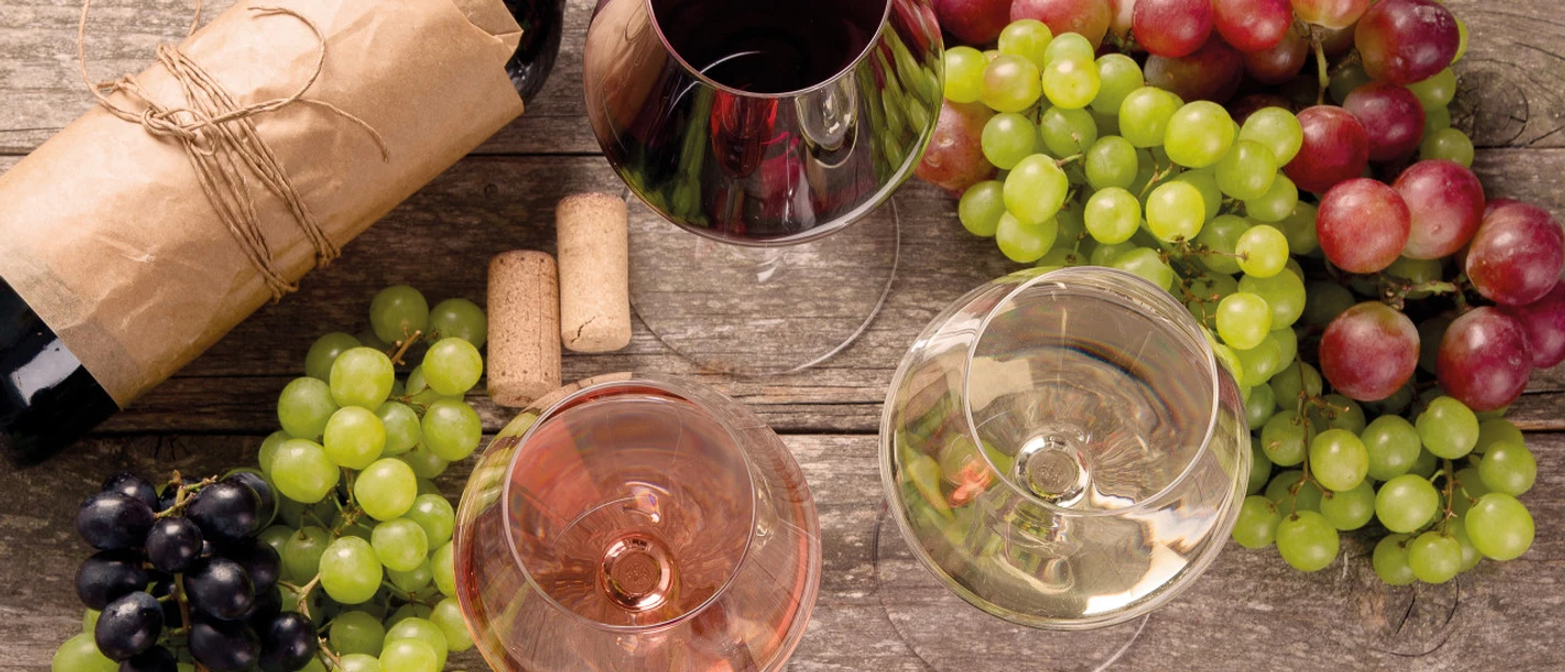 Weinprobe: edle Tropfen aus dem Ahrtal