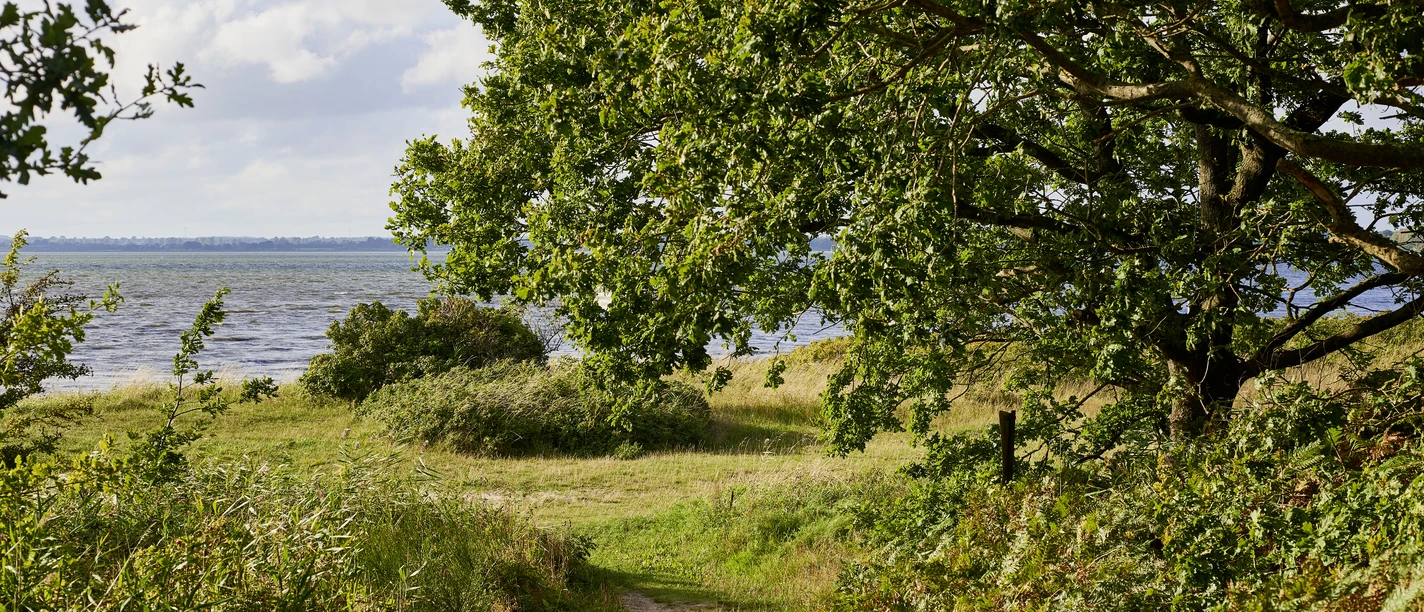 OFS_Große Breite Fleckeby_Stefan_Polte (4).jpg