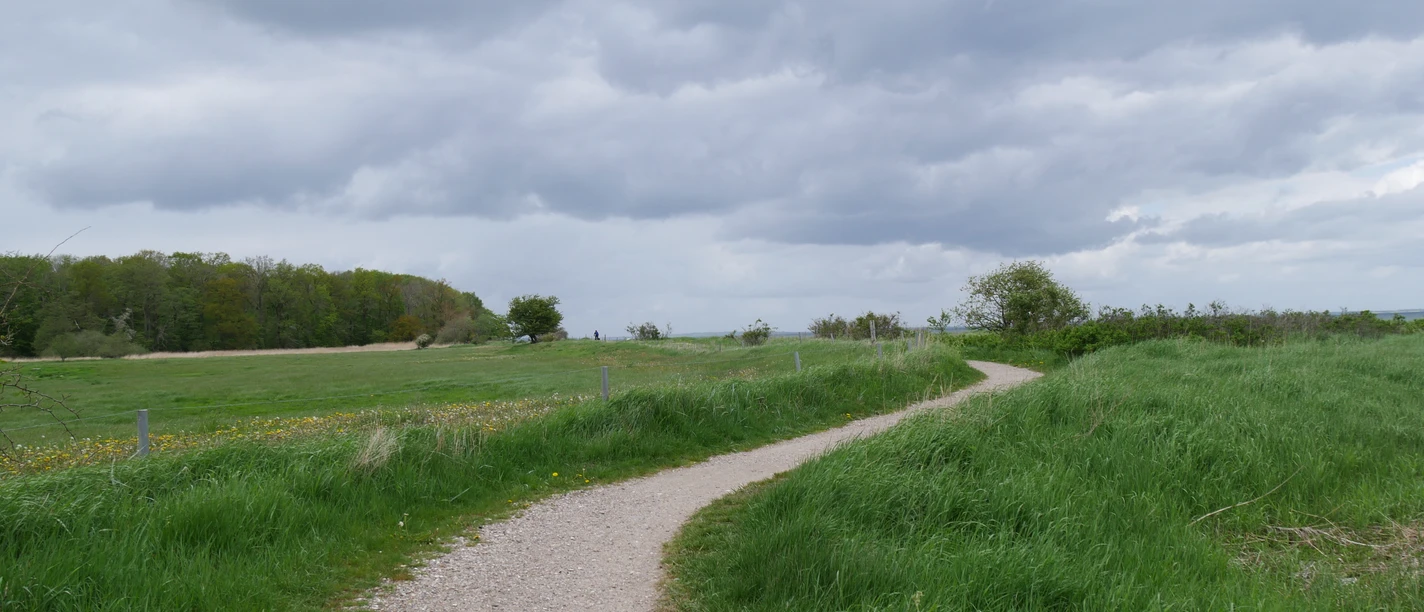 Ohrfeldhaff_Christina Matzen (11).JPG