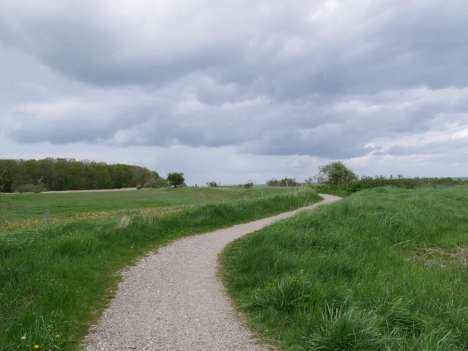 Ohrfeldhaff_Christina Matzen (11).JPG