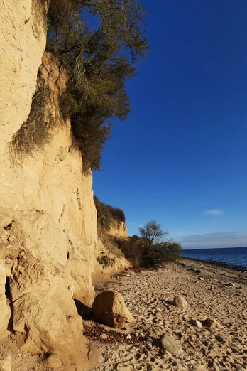 2020 Waabs Herbst (17).jpg