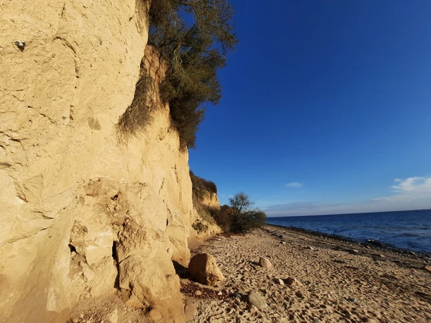 2020 Waabs Herbst (17).jpg