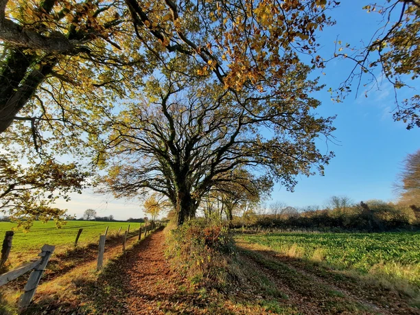 2020 Waabs Herbst (18).jpg