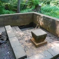 Brunnen Verden Ein steinerner Brunnen im Wald mit quadratischem Sockel, umgeben von Bäumen und dichtem Grün.