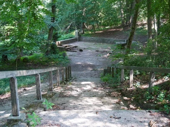 Brunnen Verden Zugang zu einem Waldbereich mit Weg und Geländer sowie Bänken in einer schattigen, bewaldeten Umgebung.