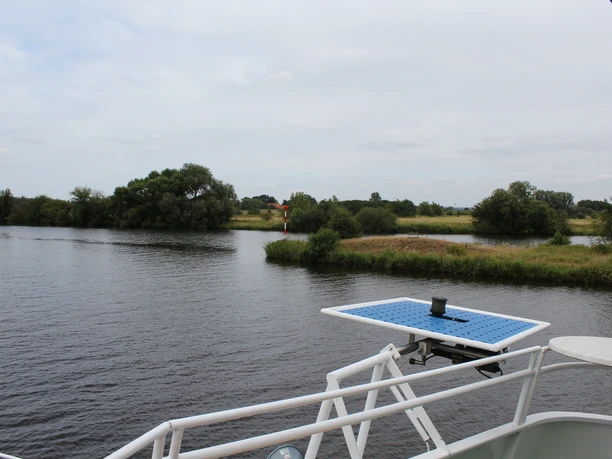 A river landscape at the mouth of the Aller, with trees, reeds, and calm water in the foreground.