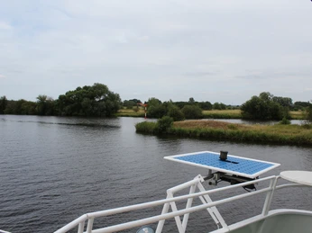 Allermündung Flusslandschaft bei der Allermündung mit Bäumen, Schilf und ruhigem Wasser im Vordergrund.