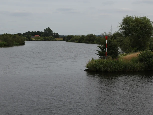 Allermündung Flussmündung mit ruhigem Wasser, von Bäumen und Büschen flankiert, unter bewölktem Himmel.