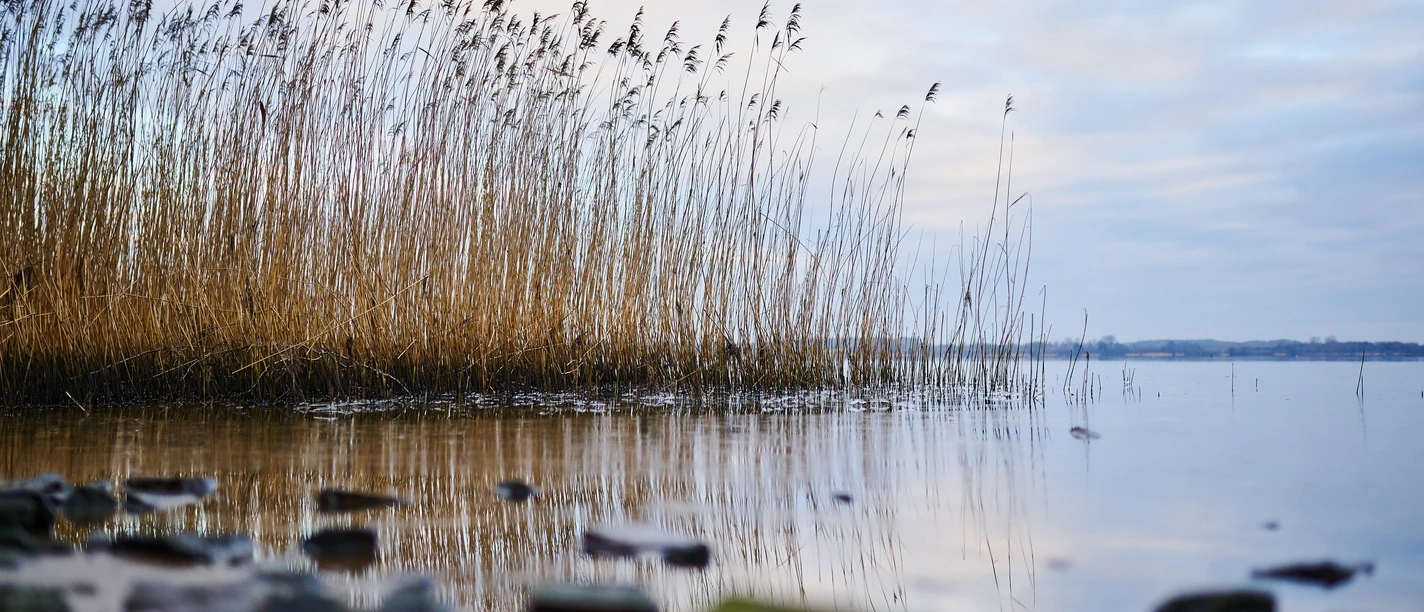 OFS_Borgwedel_Stefan Polte (64).jpg