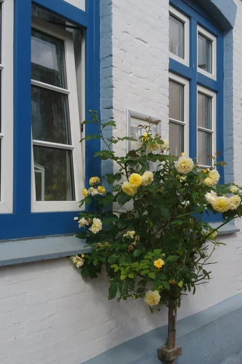 Kappeln Katja Brückner (59).JPG