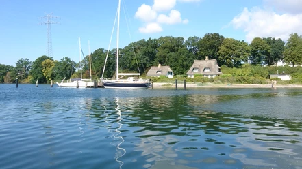 Motorboot auf der Schlei Katja Brückner (23).JPG