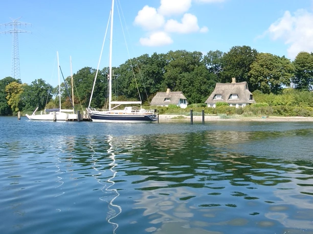 Motorboot auf der Schlei Katja Brückner (23).JPG