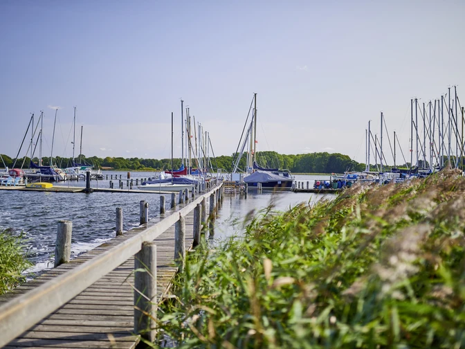 OFS_Lindaunis_Stefan_Polte (1).jpg