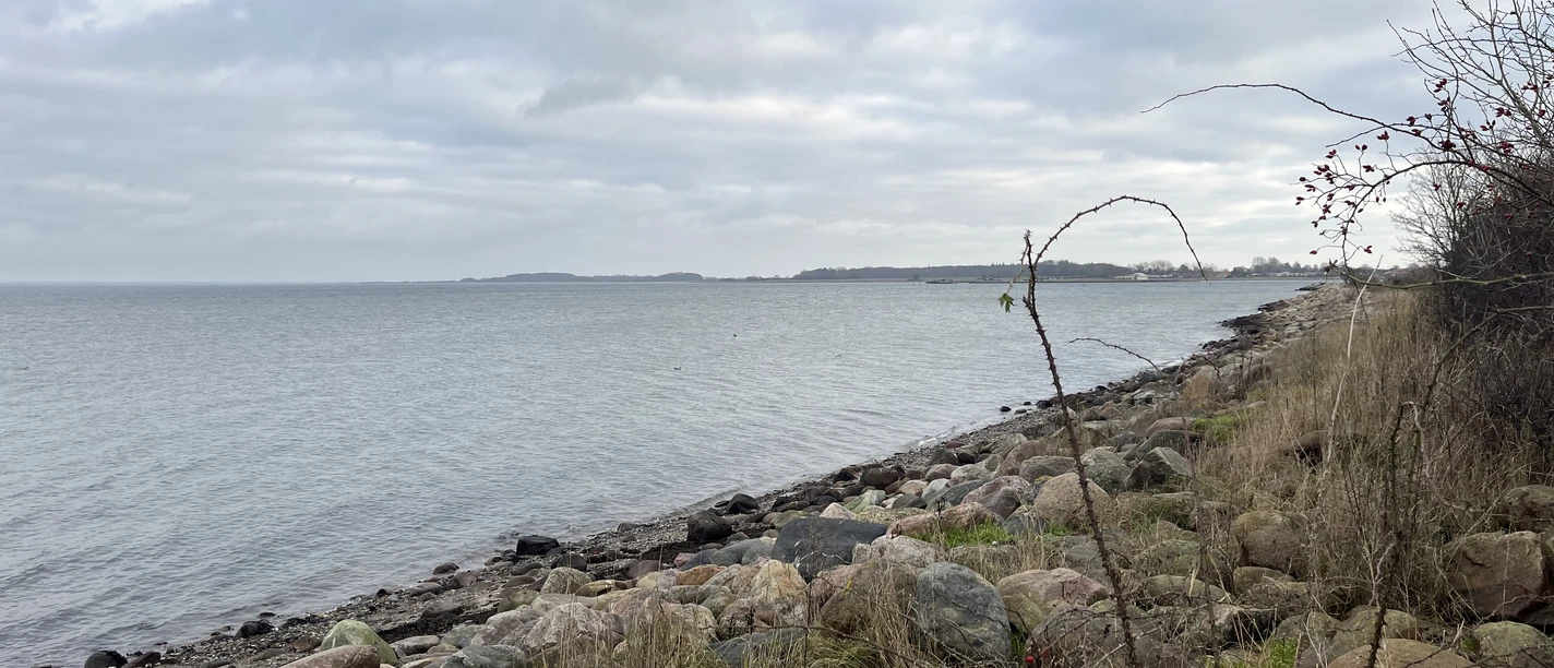 Steinberg,Niesgrau_Hunhoi_Noemi Szymanowski (4).JPG