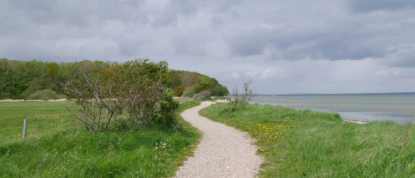 Ohrfeldhaff_Christina Matzen (17).JPG