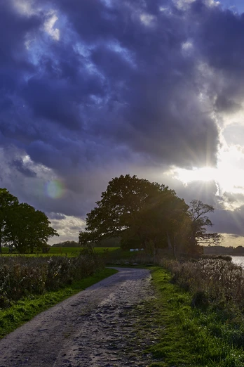 OFS_Büstorf_Herbst_Stefan_Polte (1).jpg