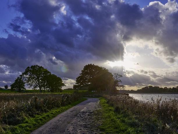 OFS_Büstorf_Herbst_Stefan_Polte (1).jpg