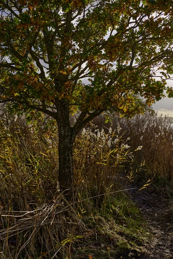 OFS_Büstorf_Herbst_Stefan_Polte (138).jpg