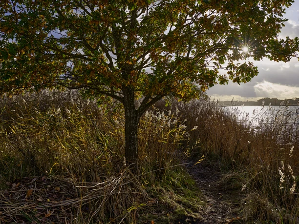 OFS_Büstorf_Herbst_Stefan_Polte (138).jpg