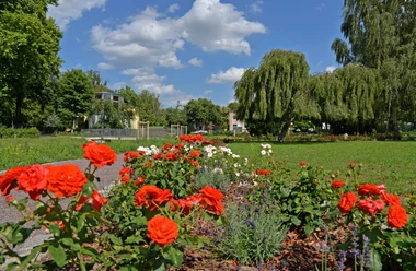 Rosengarten am Moorbad Delitzsch