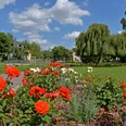 Rosengarten am Moorbad Delitzsch