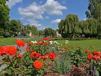 Rosengarten am Moorbad Delitzsch