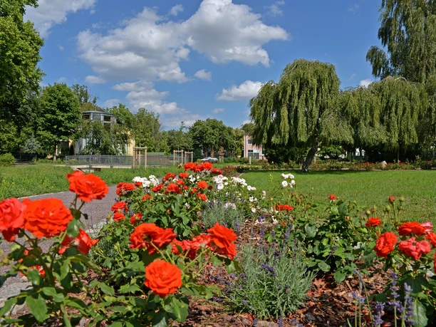 Rosengarten am Moorbad Delitzsch