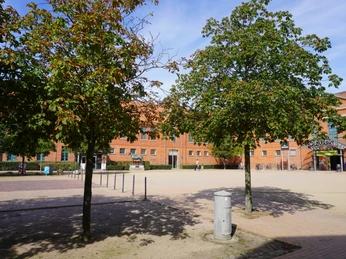 Holzmarkt Verden Roter Backsteinbau am Holzmarkt Verden mit grünen Bäumen im Vordergrund unter blauem Himmel.