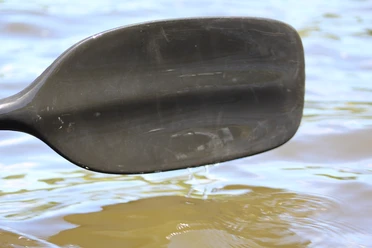 Paddel Ein schwarzes Paddel berührt das ruhige Wasser eines Sees, erzeugt kleine Wellen.