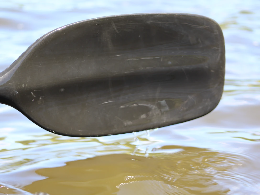 Paddel Ein schwarzes Paddel berührt das ruhige Wasser eines Sees, erzeugt kleine Wellen.