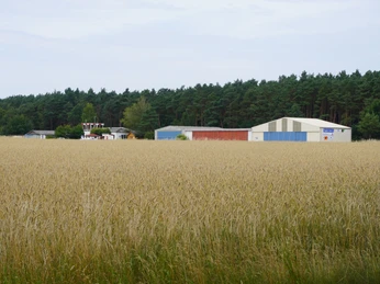 Ein kleines Flughafengelände liegt hinter einem weiten Feld, gesäumt von einem dichten Waldstreifen.
