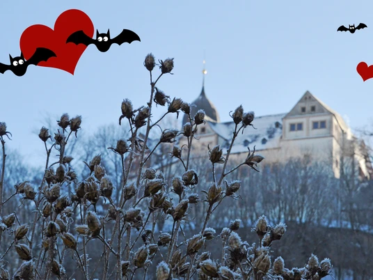 Fledermäuse im Bauch_Schloss Rochsburg.jpg