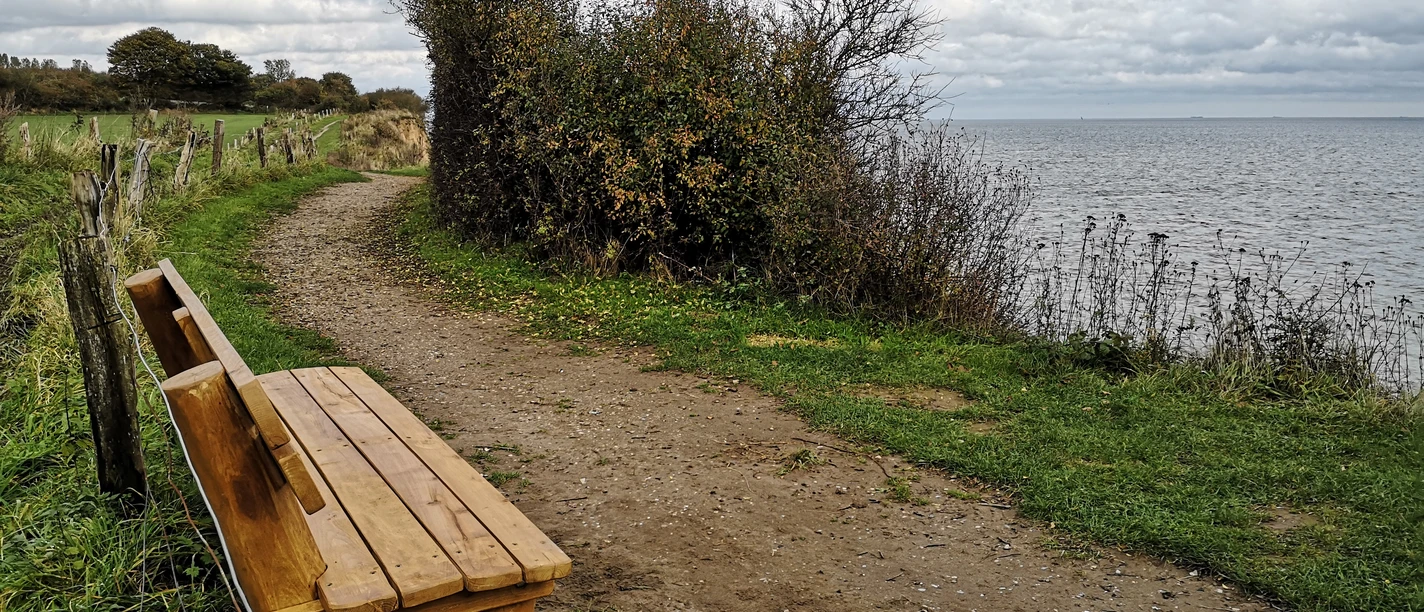 191810 Waabs_Steilküste Langholz (5).jpg