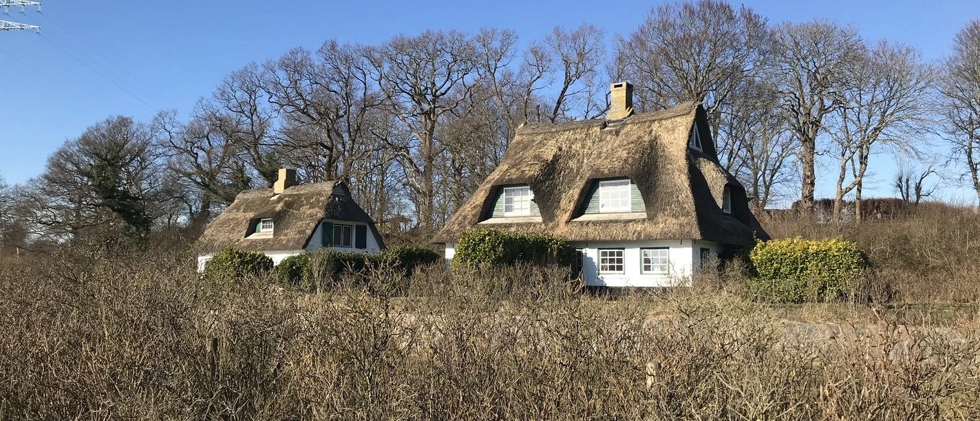 Rabel_Lena Matzen.JPG