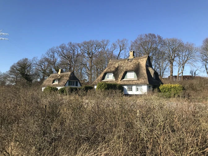 Rabel_Lena Matzen.JPG