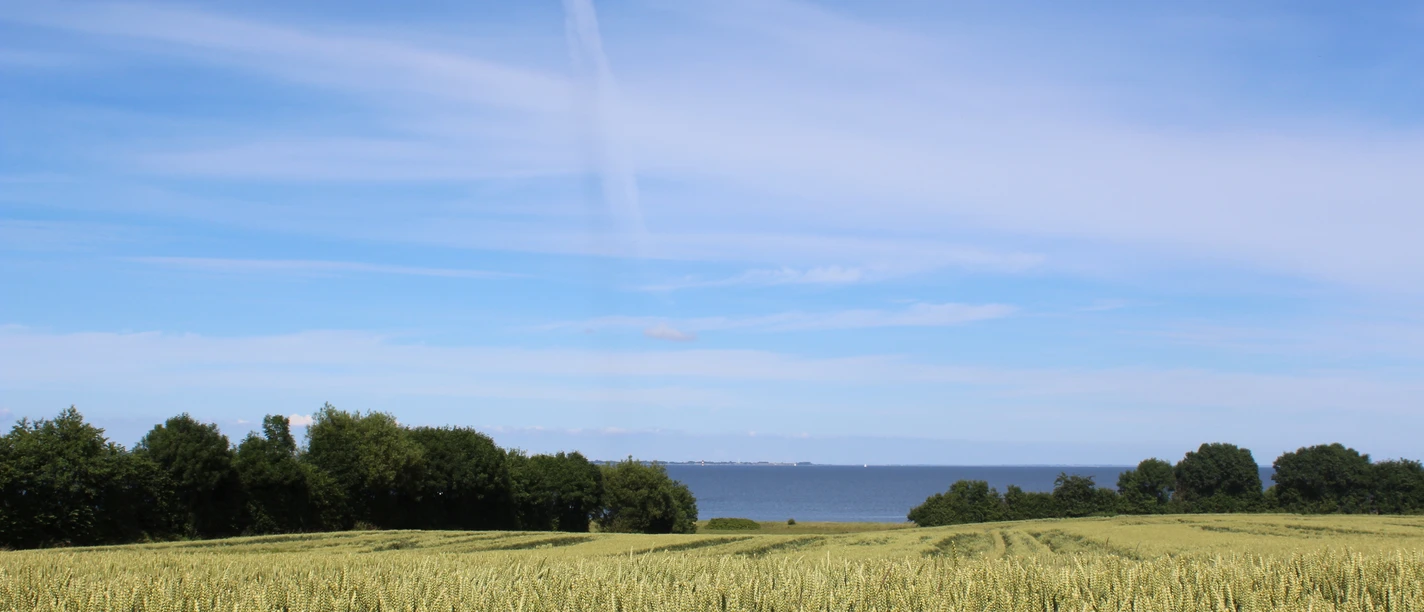 Geltinger Bucht_Vero (11).JPG