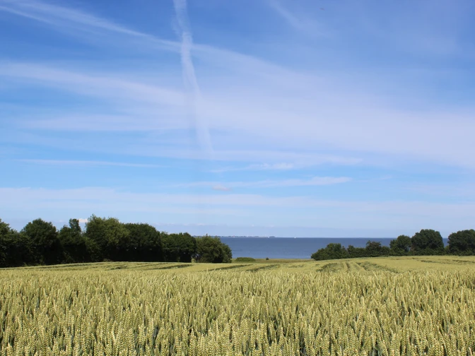 Geltinger Bucht_Vero (11).JPG