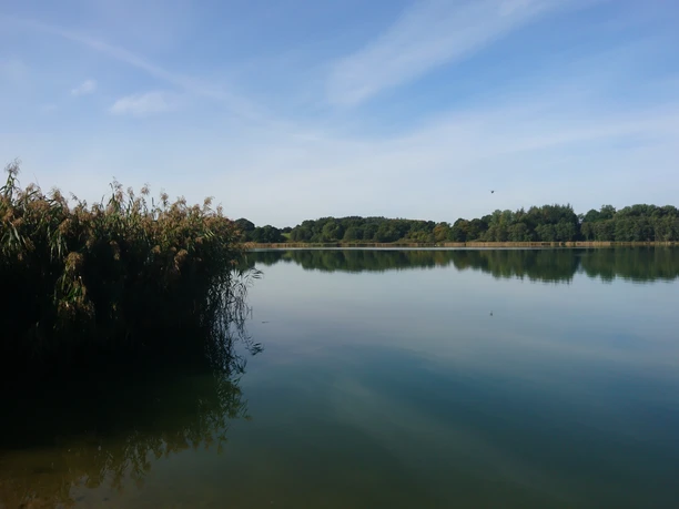 Selker Noor Katja Brückner 2020 (6).JPG