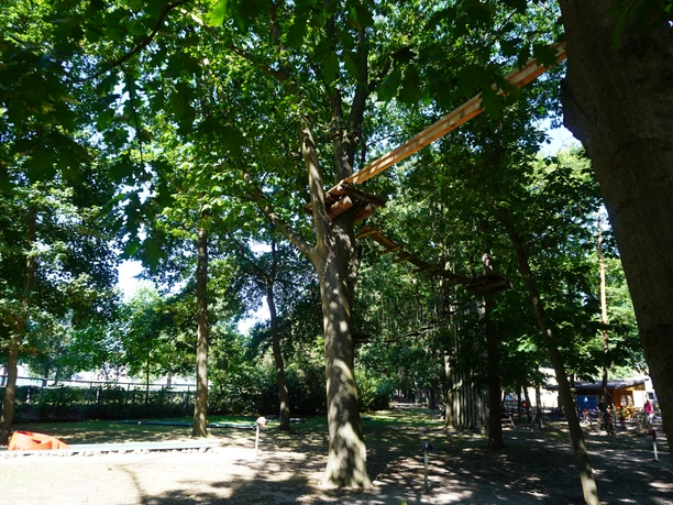 Kletterpark Verden A high ropes course in a wooded area, with wooden platforms and rope bridges between the trees.