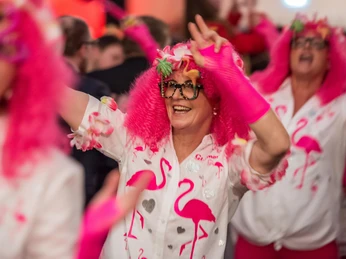 Karneval in Bad Driburg Eine Person in pinker Flamingo-Kleidung tanzt fröhlich auf einem Karnevalsumzug, umgeben von Feiernden.