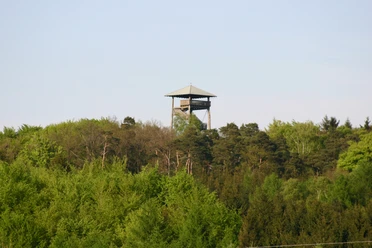 IMG_0919.JPG Ein Aussichtsturm ragt aus einem dichten Wald empor.