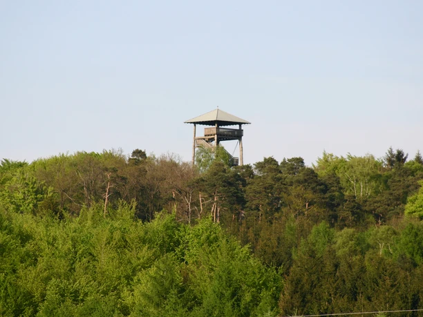IMG_0919.JPG Ein Aussichtsturm ragt aus einem dichten Wald empor.