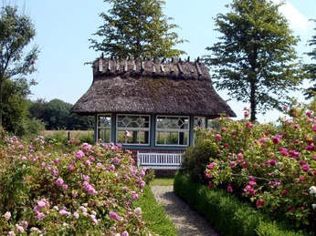 Rosenpavillon