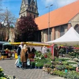 Wochenmarkt am Südermarkt