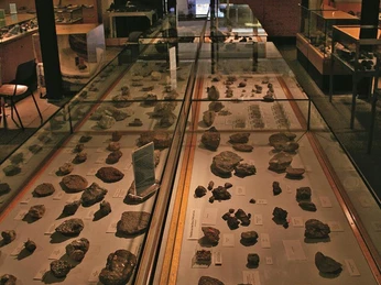 Blick in die Ausstellung