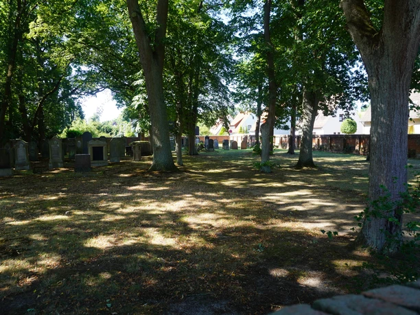 Jüdischer Friedhof Verden Dicht bewachsener jüdischer Friedhof in Verden, von Schatten alter Bäume geschützt, vermittelt Ruhe.