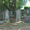 Dicht aneinanderliegende Grabsteine auf einem historischen jüdischen Friedhof, umgeben von Bäumen.