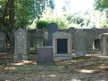 Eine ruhige, historische Begräbnisstätte mit alten Grabsteinen unter schattenspendenden Bäumen.