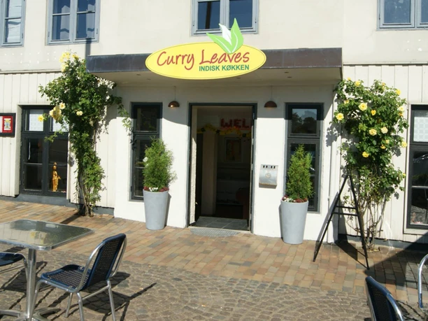 curry leaves ude curry leaves ude