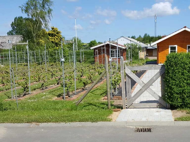 Domaine-Nyballe Domaine-Nyballe